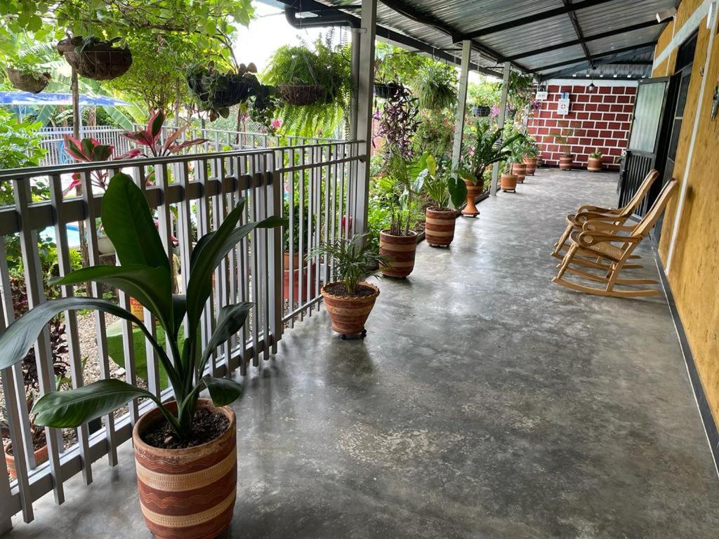 Homestay Vale Huila