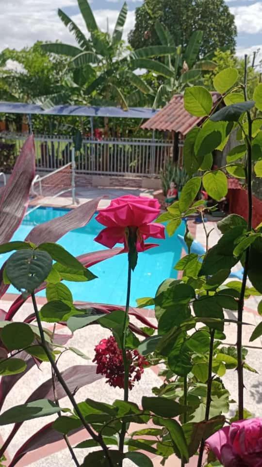Homestay Vale Huila