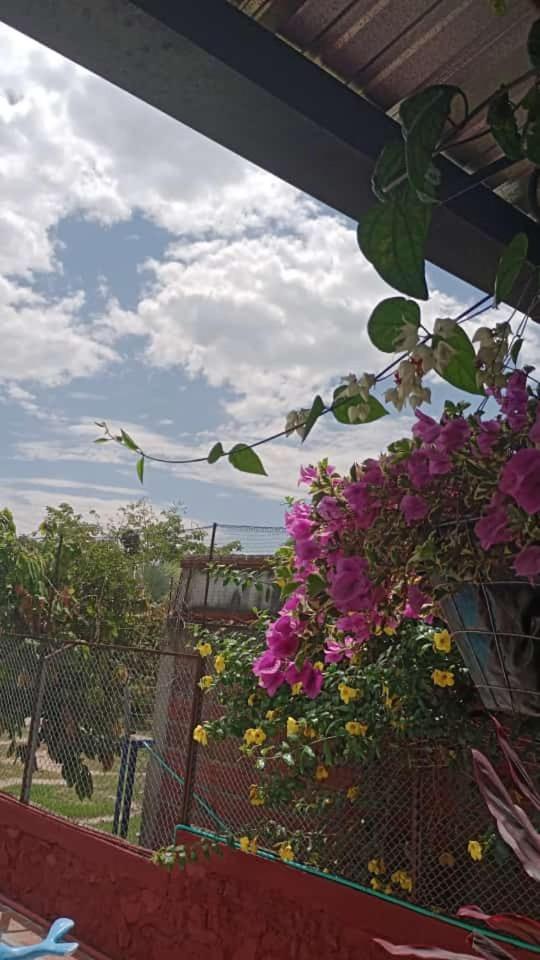 Homestay Vale Huila Rivera